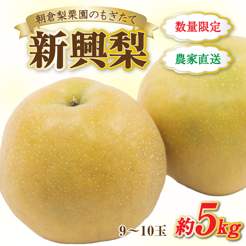 ys\zsʌtV 9`10ʓ 5kg QI2026N10{菇 [aw042-a002]䌧s19000ʕEt[c񂲁E
