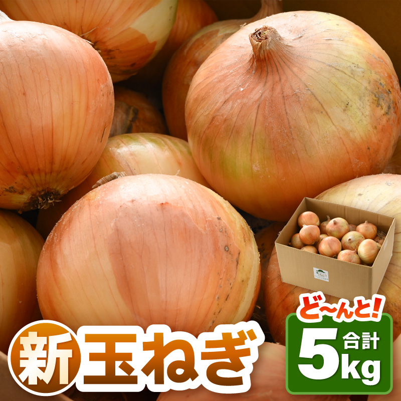 【先行予約】採れたて 新玉ねぎ 5kg(サイズ S M L ミックス)田んぼで育てた甘くて柔らか自慢の玉ねぎ!※2026年6月以降順次発送予定  / 野菜 万能 料理 常備 玉葱 BBQ たまねぎ 玉ネギ 甘い [
