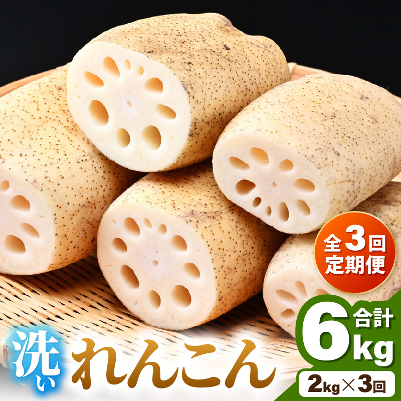 3 􂢂񂱂 2kg sOɎnĂ͂It VLƂGI^ L@엿 _ @ R    [aw056-b001]䌧s21000؁Ê卪E