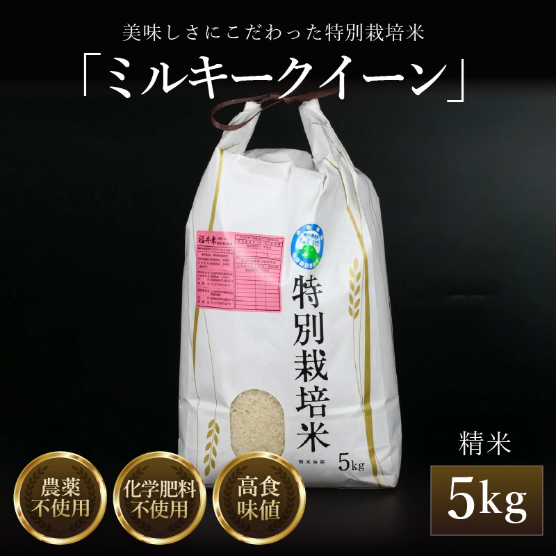 ys\zyߘa7NY Vāz ~L[NC[  5kg  ʍ͔| _sgp w엿sgp ^ i NxQ 䌧Y uh 2025N10{ȍ~ [aw063-a008]䌧