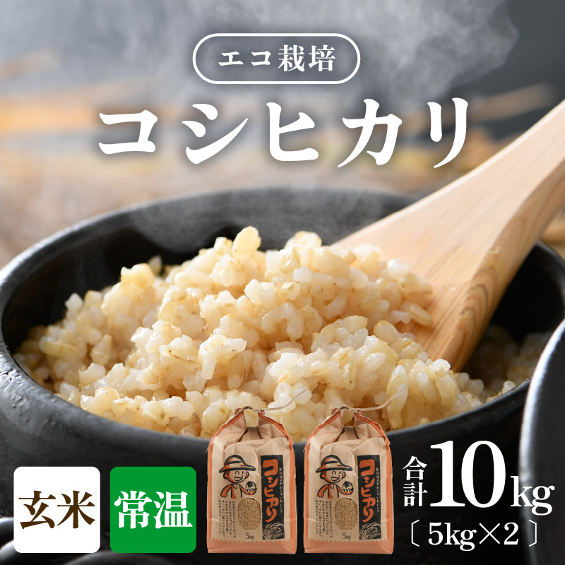 先行予約】【令和7年産 新米】エコ栽培コシヒカリ 玄米10kg（5kg