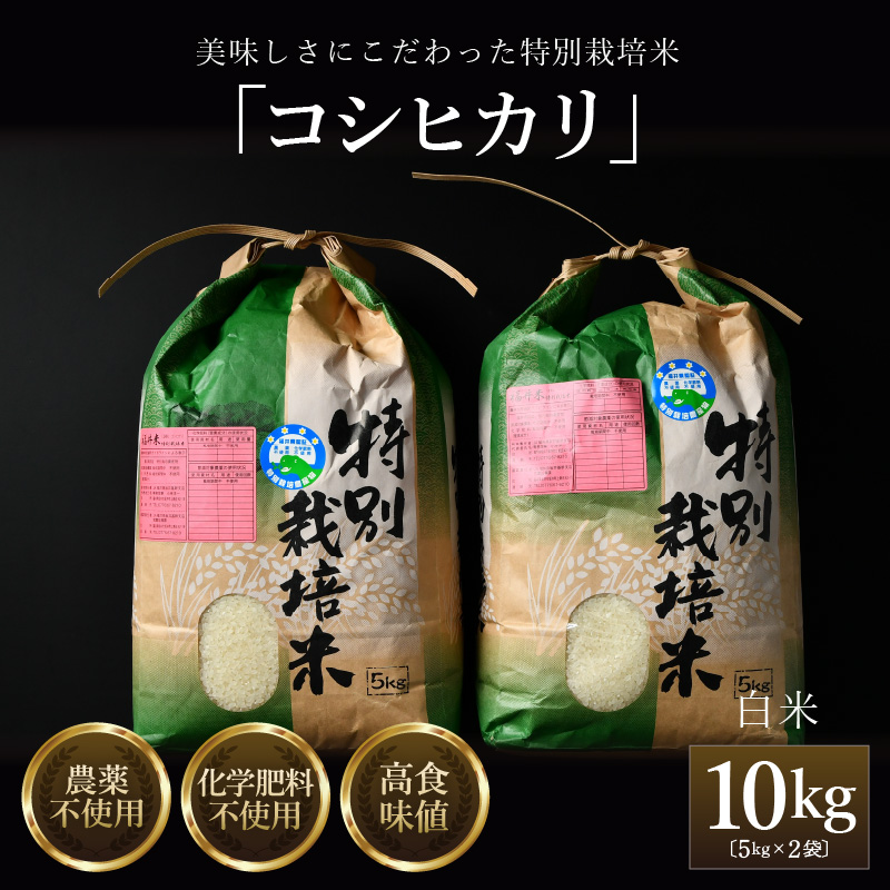 【先行予約】【令和7年産 新米】コシヒカリ 精米 5kg×2袋(計10kg) 特別栽培米 農薬不使用 化学肥料不使用 / 残留農薬ゼロ 高品質 鮮度抜群 福井県産 ブランド米 白米 ※2025年9月下旬より順