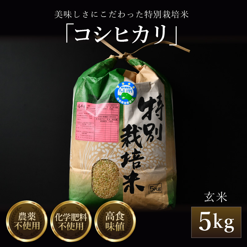 ys\zyߘa7NY VāzRVqJ  5kg ʍ͔| _sgp w엿sgp ^ c_[ i NxQ 䌧Y uh 2025N9{菇\ [aw063-a00