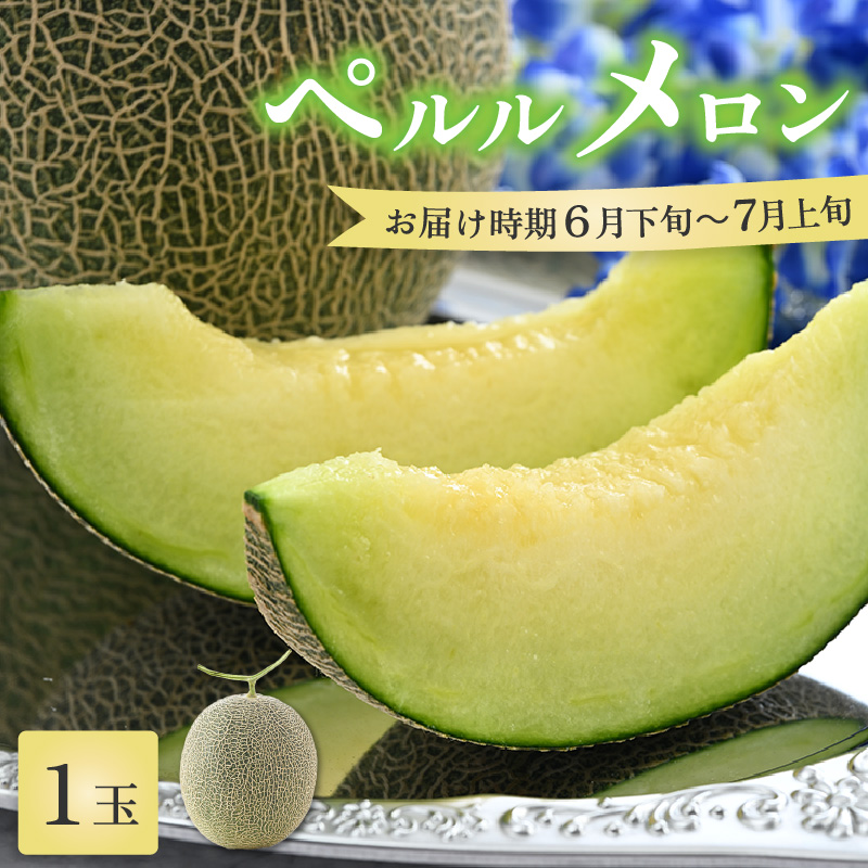 ys\zy 1ʁi2kgȏji I ^ }XN  ʕ t[c Mtg _ƒ 2026N6{ȍ~ [aw065-a006]䌧s8000ʕEt