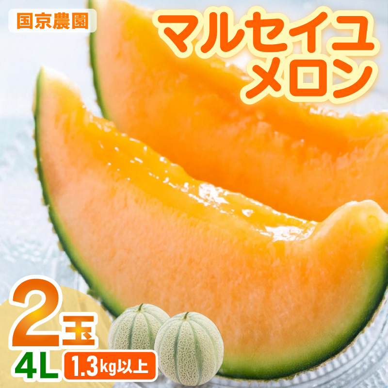 ys\z}ZC 2ʓ 4Li1.3kgȏ×2ʁjxŔQɔԓ ^ ʕ t[c Yn 2026N6{ȍ~ [aw067-a005]䌧s10000ʕEt[c