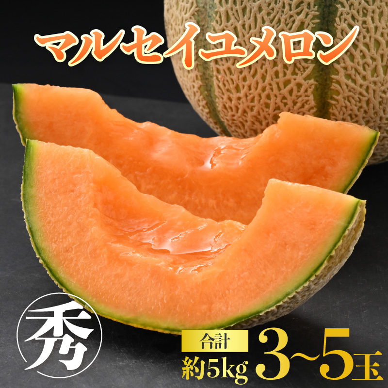 ys\z_̃}ZC 5kg Gii3`5ʓj[݂̂Â Ƃ낯ZȐԓI_ƒ L@엿 _ 2026N6{菇\ [aw069-a003]䌧