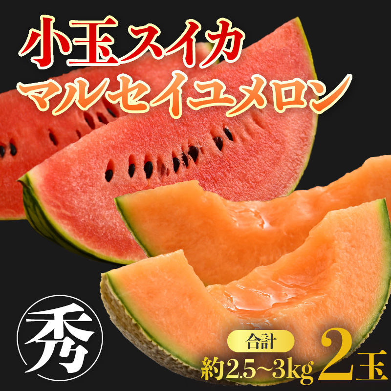 ys\z_̏ʃXCJE}ZC Zbg v2ʁi2.5kg`3kgj Gi _ƒ L@엿 _ 2026N6{菇 [aw069-a004]䌧s10000ʕEt[c