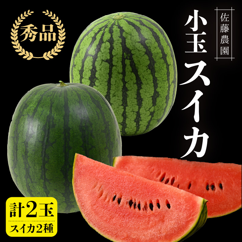 ys\zQ̊ÂI_̏ʃXCJ Hה׃Zbg 2ʁiv3kgȏj^ Gi _ƒ L@엿 _ 2026N6{菇\ [aw069-a007]䌧s10000ʕEt