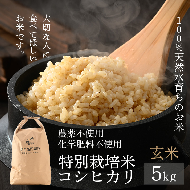 【先行予約】【令和7年産 新米】伊与衛門農園のコシヒカリ 玄米 5kg 特別栽培米 化学肥料不使用  <温度と湿度を常時管理し新鮮米を出荷!>/ 高品質 鮮度抜群 福井県あわら産 ブランド米