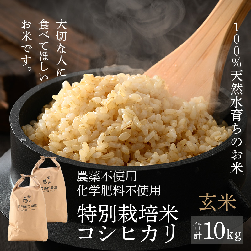 【先行予約】【令和7年産 新米】伊与衛門農園のコシヒカリ 玄米 10kg 特別栽培米 5kg×2袋 化学肥料不使用 <温度と湿度を常時管理し新鮮米を出荷!>/ 高品質 鮮度抜群 福井県あわら産 ブ