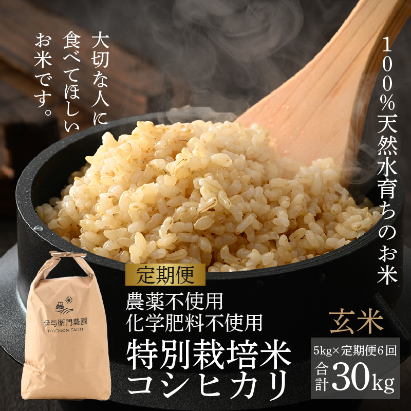 【令和7年産 新米】《定期便6回》伊与衛門農園のコシヒカリ 玄米 5kg (計30kg)特別栽培米 化学肥料不使用  <温度と湿度を常時管理し新鮮米を出荷!>/ 高品質 鮮度抜群 福井県あわら産