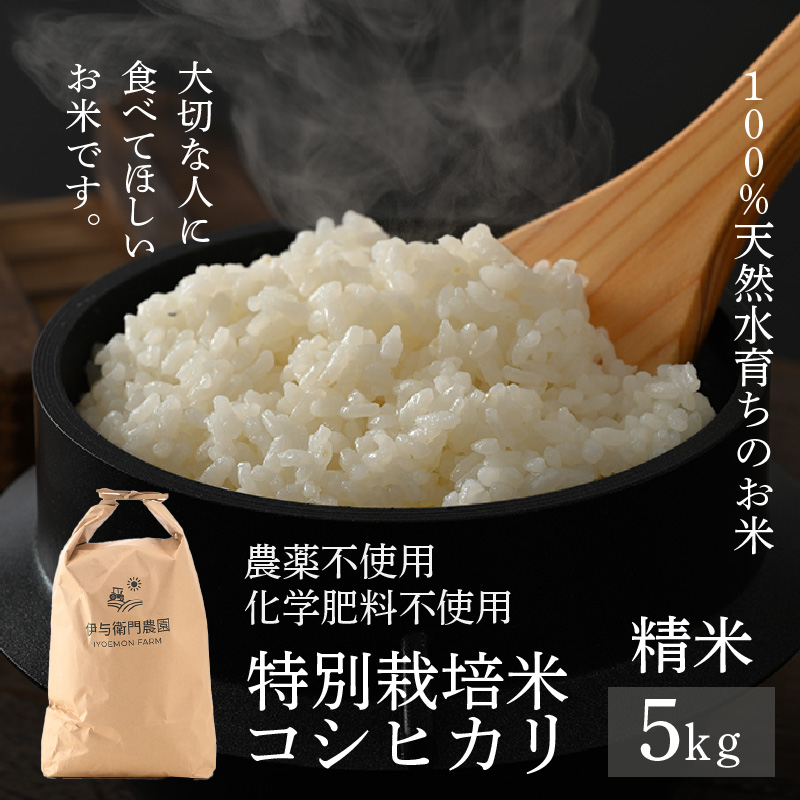 【先行予約】【令和7年産 新米】伊与衛門農園のコシヒカリ 精米 5kg 特別栽培米 化学肥料不使用  <温度と湿度を常時管理し新鮮米を出荷!>/ 高品質 鮮度抜群 福井県あわら産 ブランド米