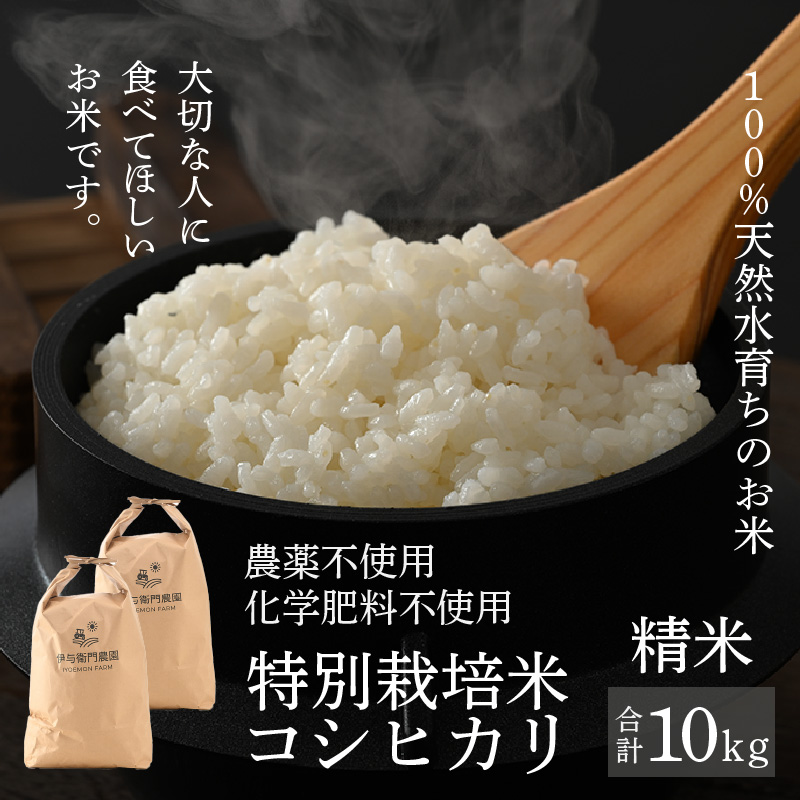 【先行予約】【令和7年産 新米】伊与衛門農園のコシヒカリ 精米 10kg 特別栽培米 5kg×2袋 化学肥料不使用 <温度と湿度を常時管理し新鮮米を出荷!>/ 高品質 鮮度抜群 福井県あわら産 ブ