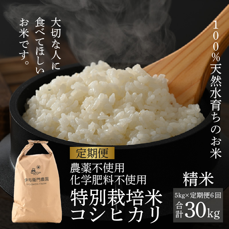 【令和7年産 新米】《定期便6回》伊与衛門農園のコシヒカリ 精米 5kg(計30kg) 特別栽培米 化学肥料不使用  <温度と湿度を常時管理し新鮮米を出荷!>/ 高品質 鮮度抜群 福井県あわら産
