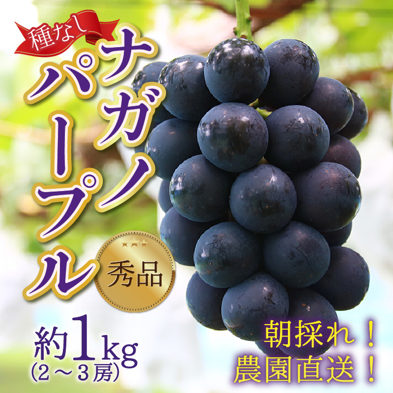 【先行予約】【種なし】上野梨園のナガノパープル 約1kg 【朝採れ】【秀品】農園直送【上野の葡萄】 / ぶどう フルーツ 果物 くだもの 贈答 お土産 種なし 旬 皮ごと食べる ポリフェノール