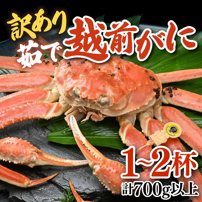 【先行予約】【訳あり】 茹で越前がに 1〜2杯 (計700g以上)《新鮮!茹でたてを発送》/ ボイル 冷蔵 蟹 カニ ワケあり足折れ 期間限定 ※2025年11月解禁日以降発送可能時期より順次発送 [aw0