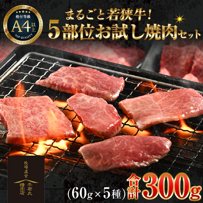 ܂邲ƎዷI5ʂēZbg 300gi60g×5j ^ Y  A4 A5 uh [aw009-a004]䌧s14000