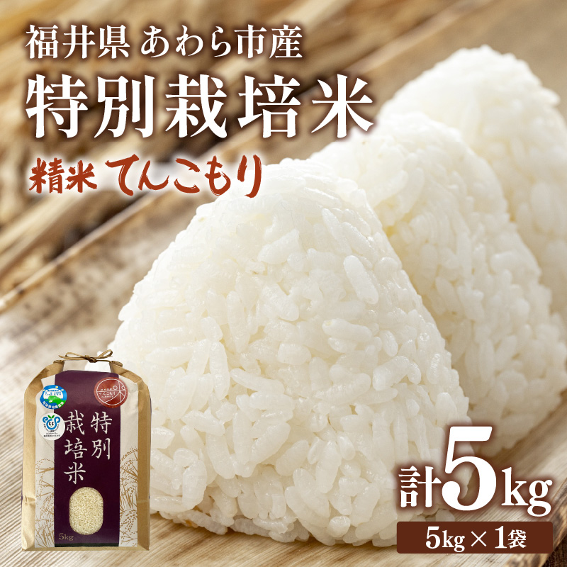 ys\zyߘa7NYzw엿sgp ʍ͔| Ă񂱂  5kg /   䌧sY  ʍ͔| _ Sȕ | Â  ①ۊǕ 2025N9{
