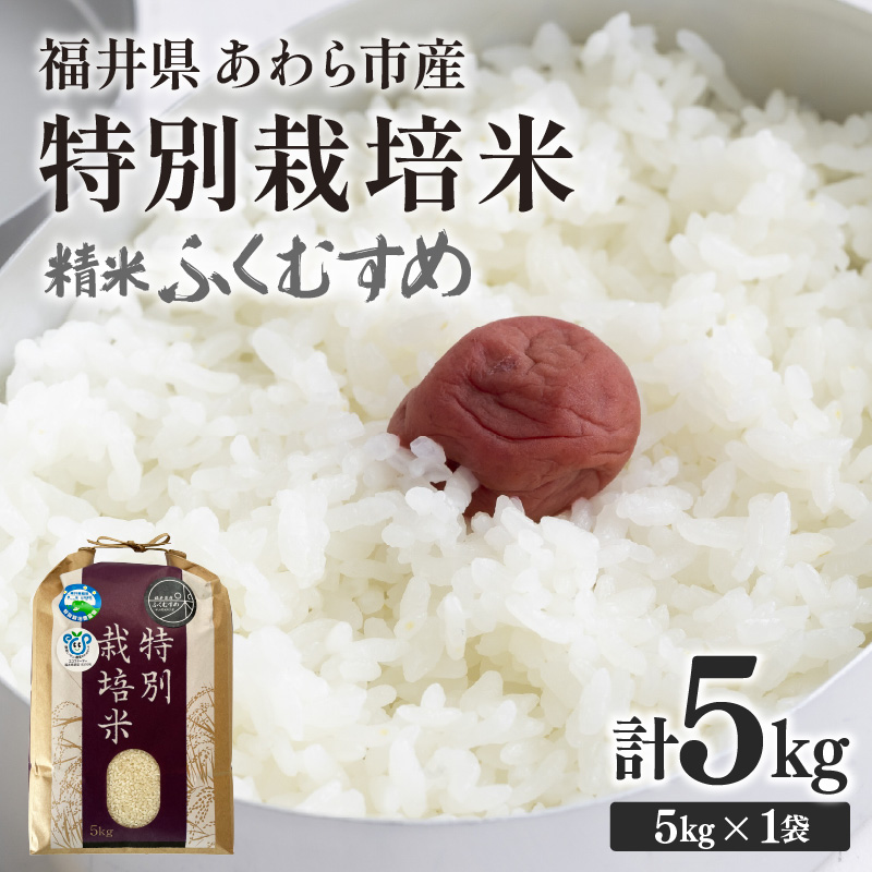 yߘa7NYzw엿sgp ʍ͔| ӂނ  5kg /   䌧sY  ʍ͔| _ Sȕ | Â  ①ۊǕ [aw010-a014]䌧s15000