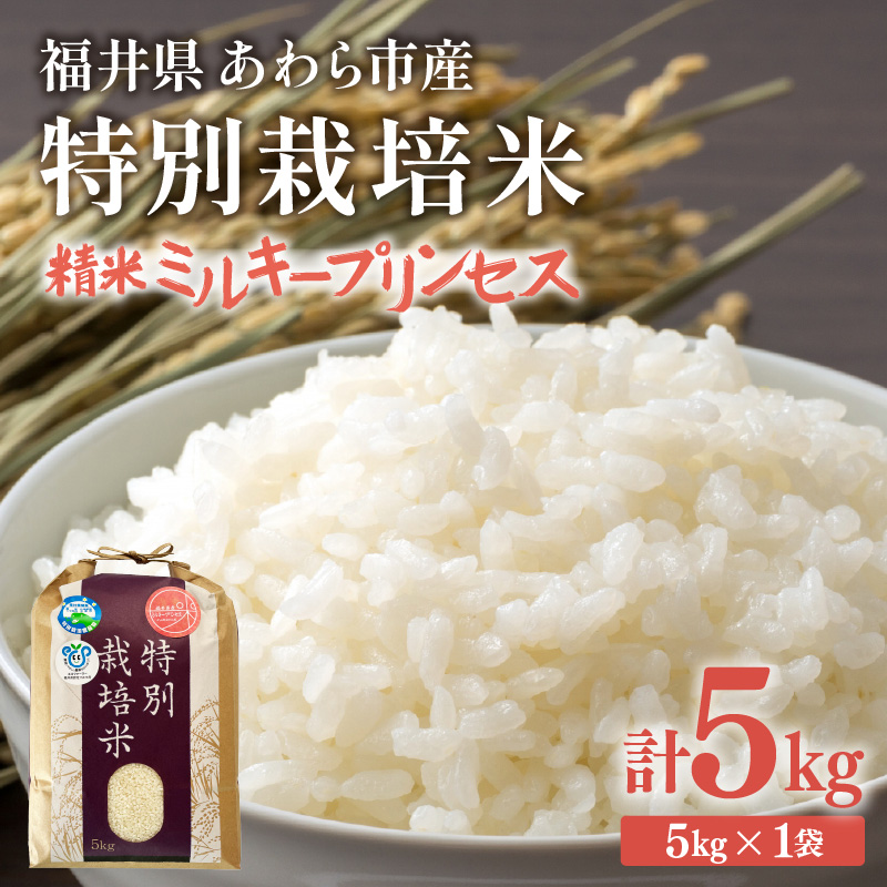 yߘa7NYzw엿sgp ʍ͔| ~L[vZX  5kg /   䌧sY  ʍ͔| _ Sȕ | Â  ①ۊǕ [aw010-a016]䌧