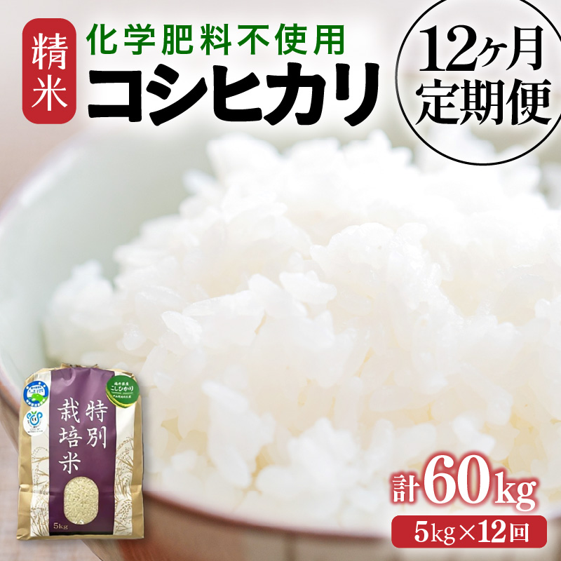 【令和7年産】定期便 ≪12ヶ月連続お届け≫  化学肥料不使用 特別栽培米 コシヒカリ 精米 5kg × 12回(合計60kg) / 白米 米 福井県あわら市産 美味しい 特別栽培米 減農薬 安心な米 旨味 甘み