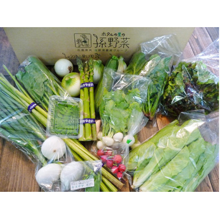 安芸高田市の小さな農家お届けするふるさと旬野菜セット 野菜類 詰合せ やさい 広島県安芸高田市15000野菜・きのこその他 野菜