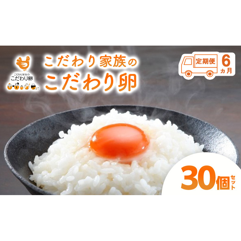 6  Ƒ̂藑 30 Zbg |cs ܂ { 6 L|cs101500Eii{AG{j