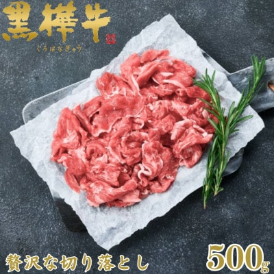 くまもと黒毛和牛 黒樺牛 A4〜A5等級 牛肉切り落とし 500g【杉本本店】(美里町)【配送不可地域:離島】【1617223】熊本県美里町15000肉牛肉