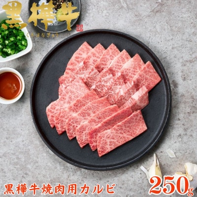 くまもと黒毛和牛 黒樺牛 A4〜A5等級 牛肉カルビ 250g×1【杉本本店】(美里町)【配送不可地域:離島】【1617810】熊本県美里町15000肉牛肉