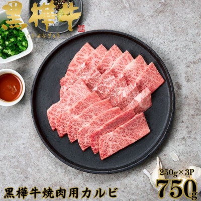くまもと黒毛和牛 黒樺牛 A4〜A5等級 牛肉カルビ 750g(250g×3)【杉本本店】(美里町)【配送不可地域:離島】【1617812】熊本県美里町35000肉牛肉