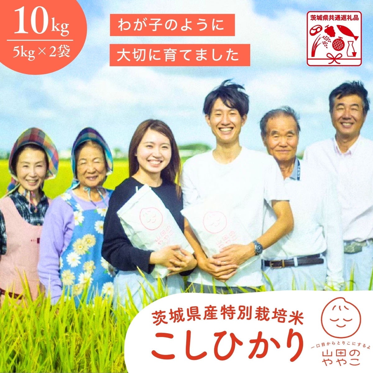 令和7年産新米 特別栽培米 コシヒカリ 10kg 山田のややこ | コシヒカリ こしひかり 特別栽培米 減農薬 冷めてもおいしい お弁当 特別栽培認証 茨城県産 茨城県 龍ケ崎市【茨城県共通返礼品