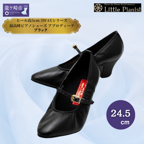 24.5cmq[5cm 3WAYV[YōsAmV[Y AvfB[e(ubN)yC  V[Y fB[X { 擾 ~ߕt Sy sAm p  IV i w