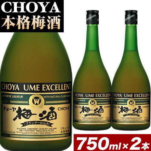 CHOYA 本格梅酒 EXCELLENT エクセレント 750ml × 2本 羽曳野商工振興株式会社《30日以内に出荷予定(土日祝除く)》大阪府 羽曳野市  梅酒 梅 酒 CHOYA チョーヤ チョーヤ梅酒 お酒 紀州 南高梅---habikino