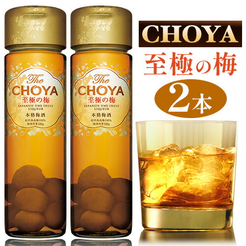 The CHOYA 至極の梅 650ml × 2本 羽曳野商工振興株式会社《30日以内に出荷予定(土日祝除く)》大阪府 羽曳野市  梅酒 梅 酒 CHOYA チョーヤ チョーヤ梅酒 お酒 紀州 南高梅---habikino_hss_14_1---大阪府羽