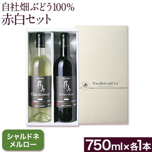 自社畑ぶどう100%赤白セット 750ml×2本 シャルドネ メルロー (株)飛鳥ワイン《30日以内に出荷予定(土日祝除く)》大阪府 羽曳野市 飛鳥ワイン 秀逸畑シリーズ アルコール ワイン 白ワイン 赤ワ