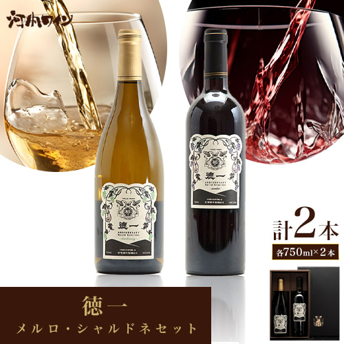  EVhlZbg×1 Mtgt e750ml × 1{ v2{ Љ͓Cs30ȓɏoח\(yj)tAR[ C  { Hgs---habikino_kaw_4_1---{H