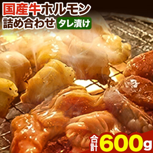 ホルモン 国産牛 ホルモン 詰め合わせ 約600g 萬野総本店《30日以内に出荷予定(土日祝除く)》大阪府 羽曳野市 牛肉 国産牛 小腸 アカセン アカセンマイ ミノ ココロ 心臓 焼肉 詰め合わせ セ