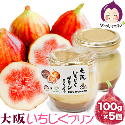 大阪いちじくプリン 100g×5個入り はっぴいおかん《30日以内に出荷予定(土日祝除く)》大阪府 羽曳野市 お菓子 スイーツ おやつ プリン 常温---habikino_hok_1_1---大阪府羽曳野市12000菓子・スイー