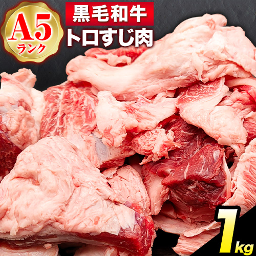黒毛和牛 トロすじ肉 約1kg 牛魔王デミート《30日以内に出荷予定(土日祝除く)》大阪府 羽曳野市  牛肉 牛 和牛 牛すじ肉 牛すじ 煮込み料理 おでん カレー---habikino_kde_4_1---大阪府羽曳野市12000