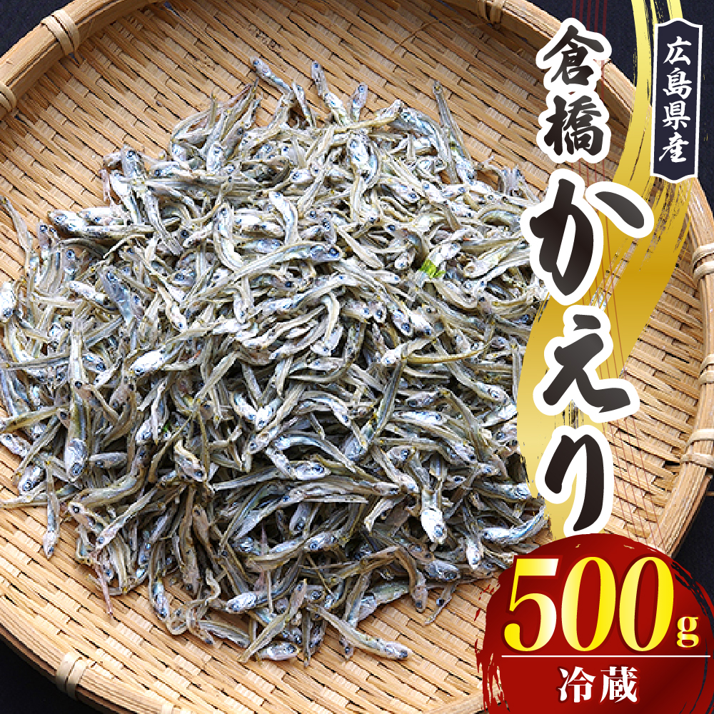 {Y q 500gLs9000ECY̑ ECY