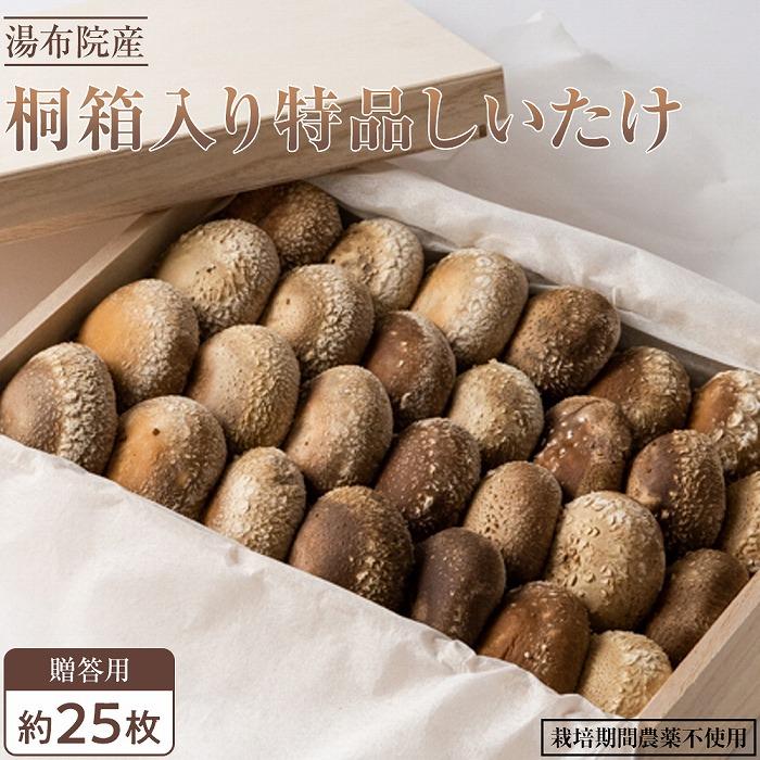 【全国銅賞受賞】<贈答用>桐箱入り特品しいたけ(約400g・サイズ混合約25枚)|栽培期間農薬不使用大分県由布市12000野菜・きのこきのこ