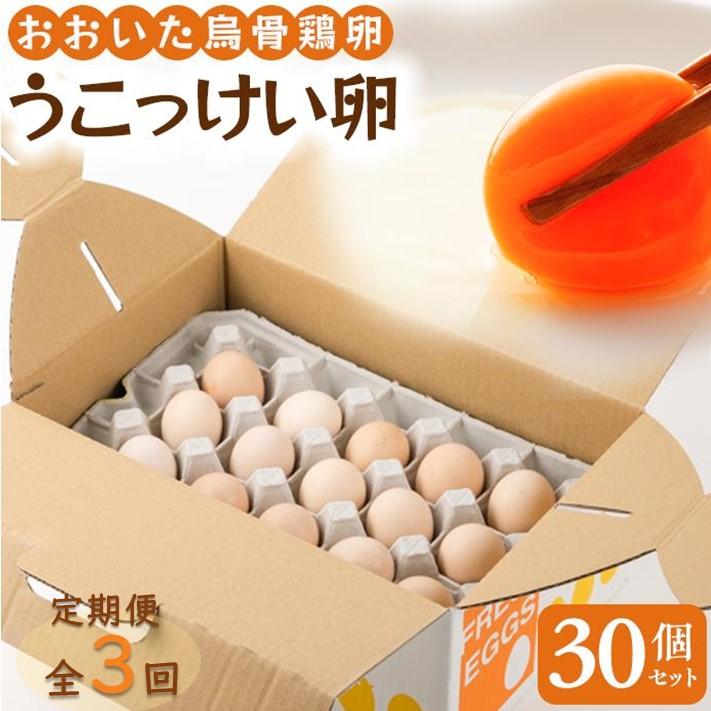 【定期便 全3回】大分うこっけい卵(生食用30個)大分県由布市48000卵・乳製品卵(鶏、烏骨鶏等)