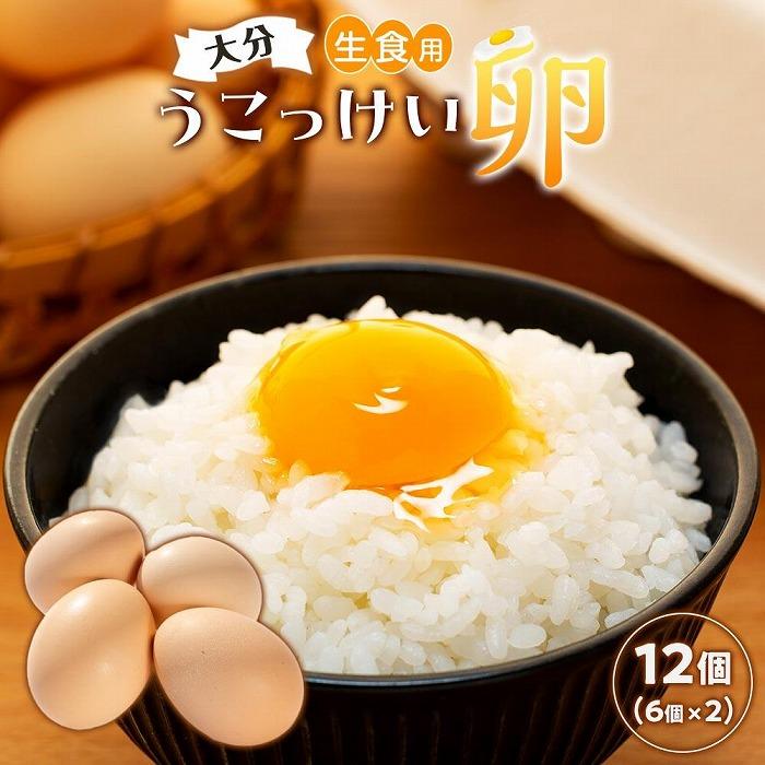 大分うこっけい卵 生食用12個(6個×2パック)<お試しサイズ/使い切りにぴったり!>大分県由布市8000卵・乳製品卵(鶏、烏骨鶏等)