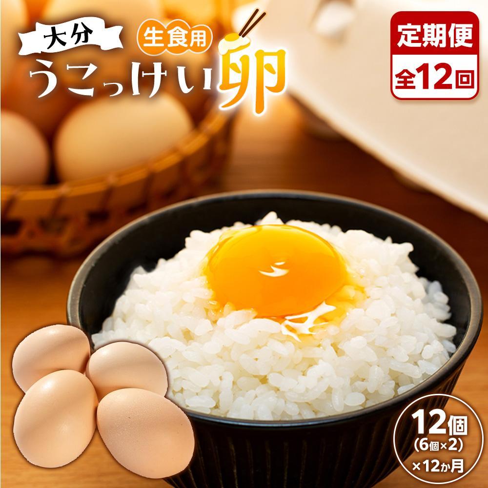 【定期便 全12回】大分うこっけい卵 生食用12個(6個×2パック)<お試しサイズ/使い切りにぴったり!>大分県由布市96000卵・乳製品卵(鶏、烏骨鶏等)
