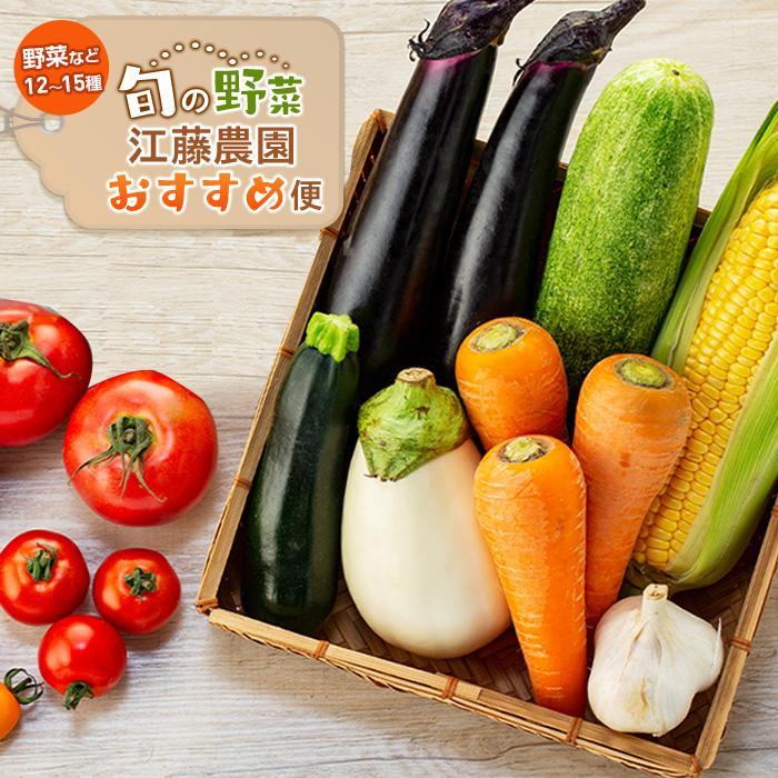 江藤農園おすすめ 湯布院の旬の野菜(12〜15種類!)詰め合わせ大分県由布市13000野菜・きのこその他 野菜