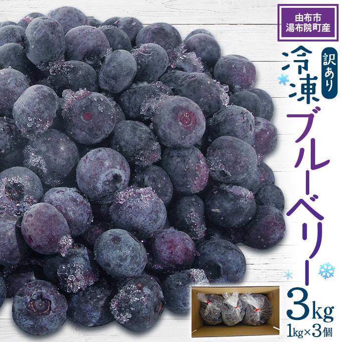 【由布市湯布院町産】 訳あり 冷凍ブルーベリー 3kg(1kg×3個)大分県由布市15000果物・フルーツその他 果物・フルーツ