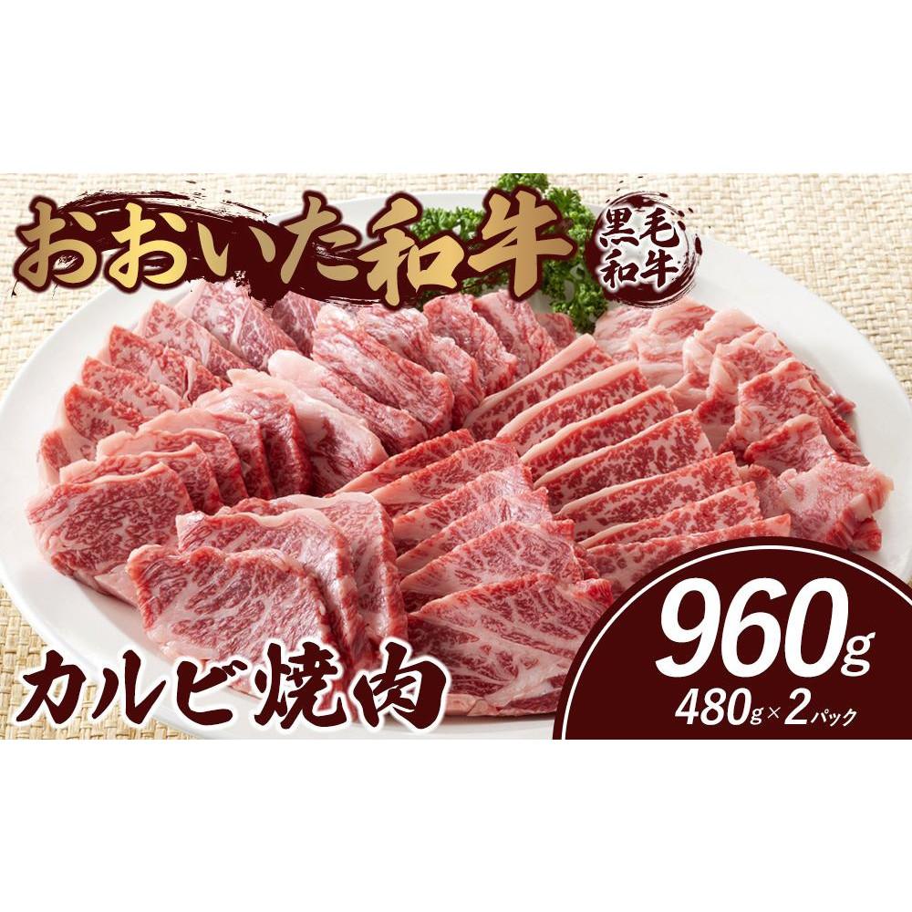 a Jrē 960gi480g×2pbNj啪Rzs19000