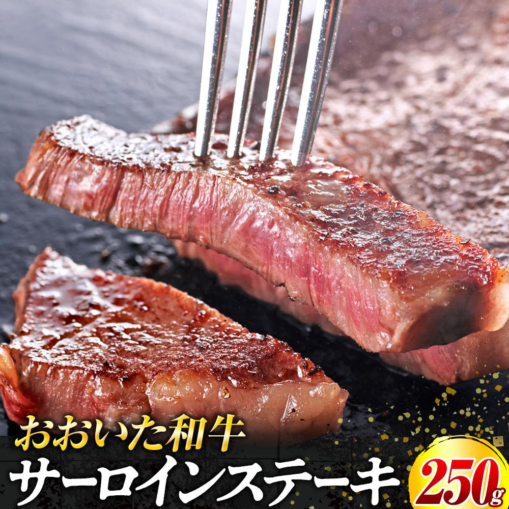 aT[CXe[L 250g×1啪Rzs11000