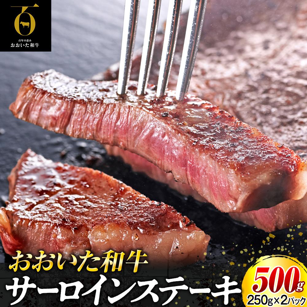 a T[CXe[LZbg 500gi250g×2j啪Rzs18000