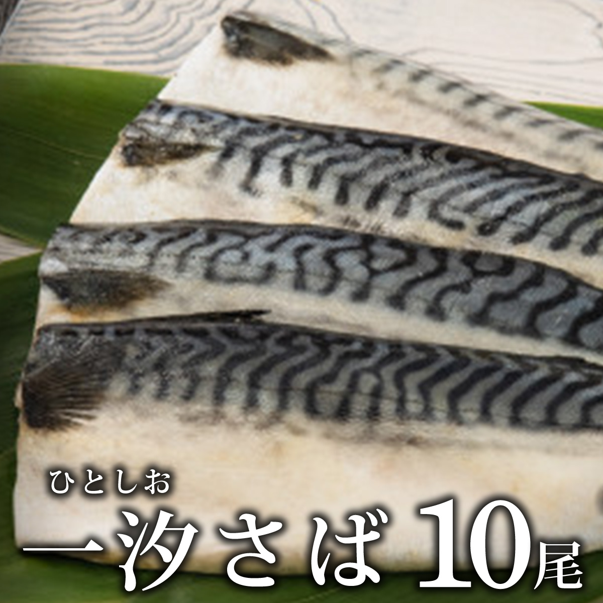 10枚セット 一汐さば おろし大根付き B-931佐賀県上峰町14000魚介・海産物その他 魚介・海産物